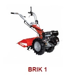 BRIK-1
