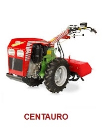 CENTAURO