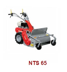 NTS-65